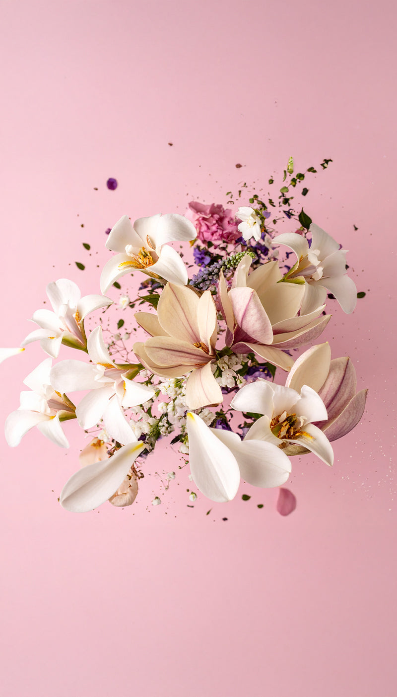 Floral Olfactory Family