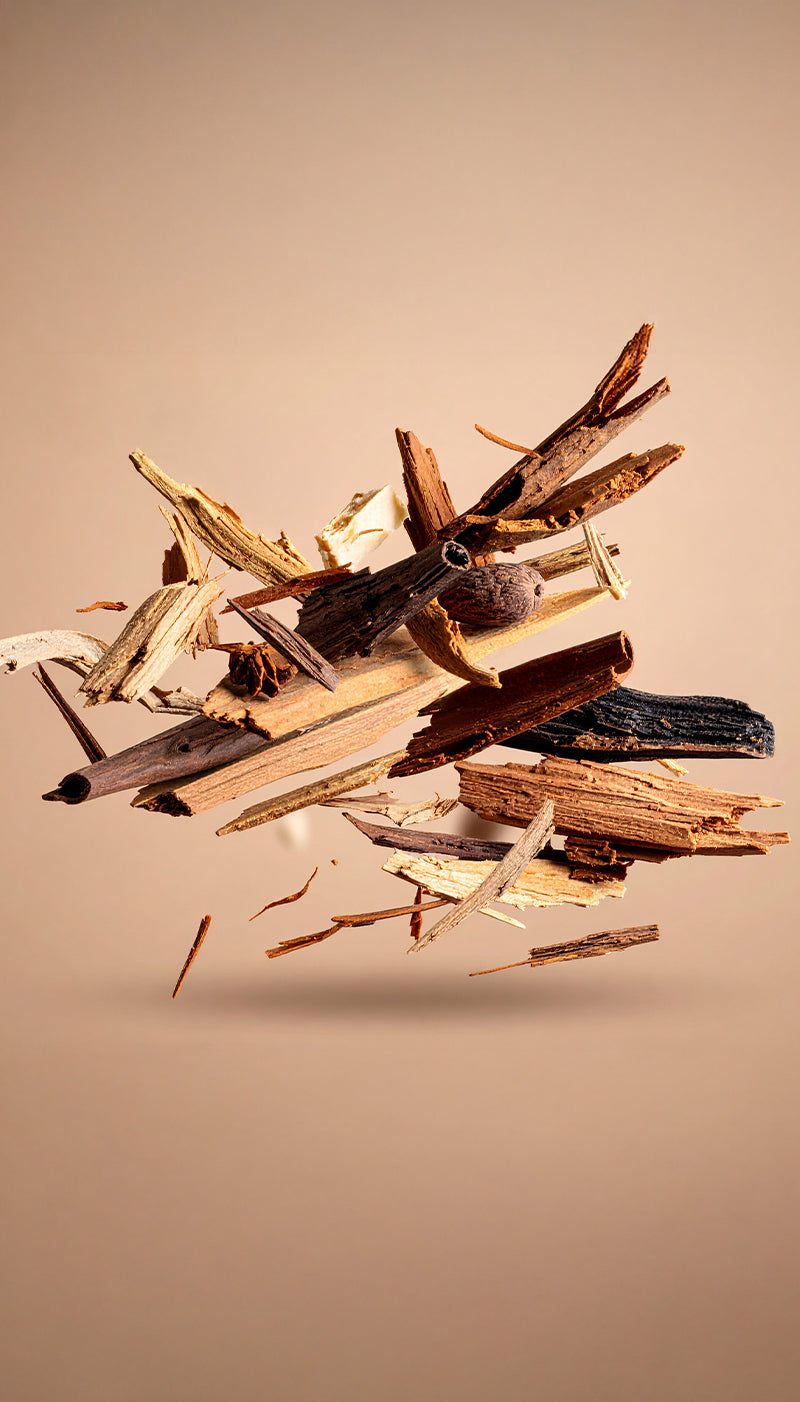 Woody olfactory family