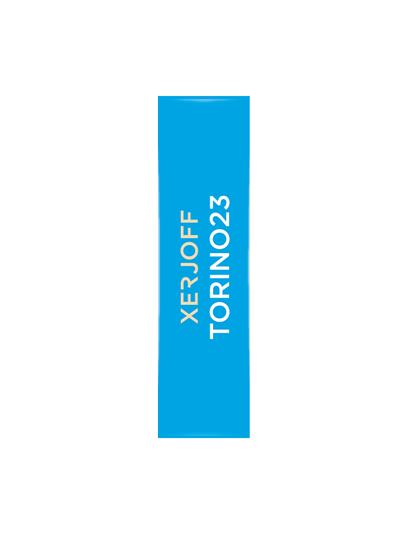 Torino23