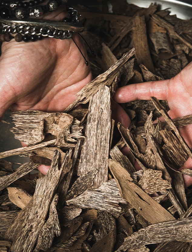 Social Responsability