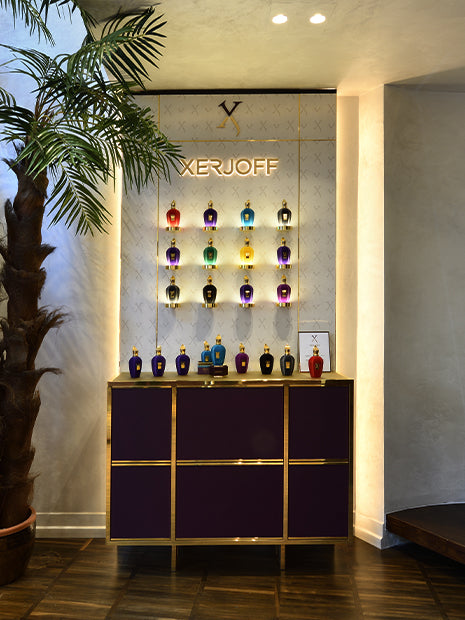 Torino Boutique