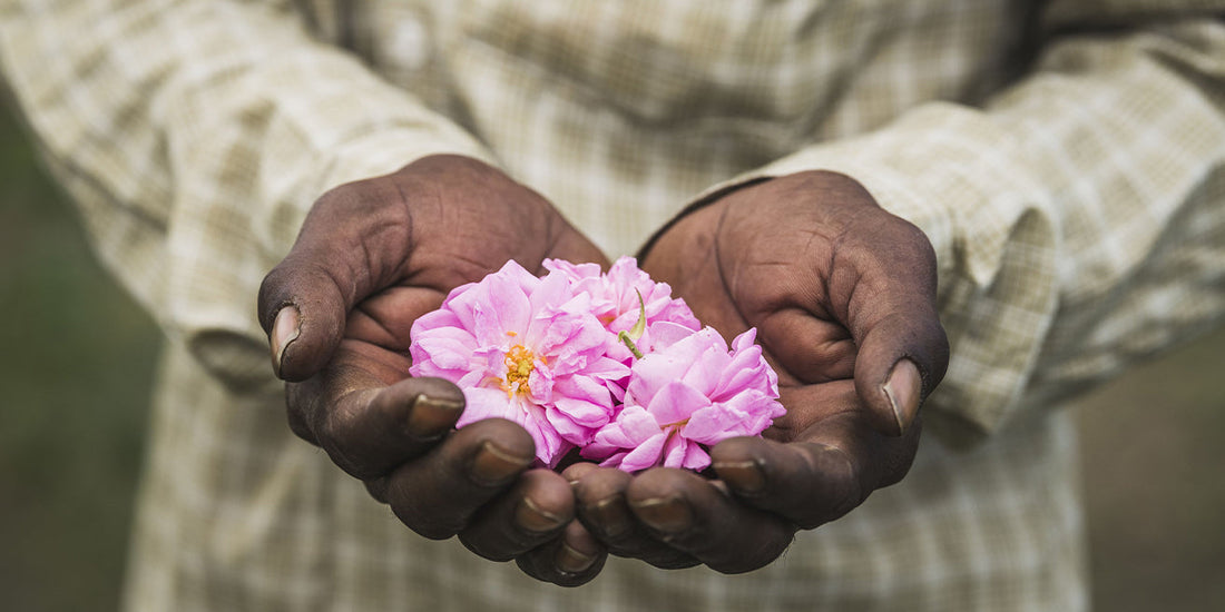 Nature & craftsmanship