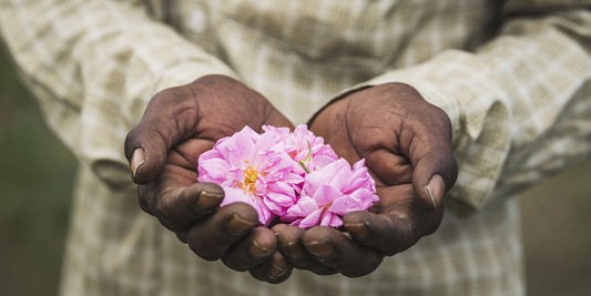 Nature & craftsmanship