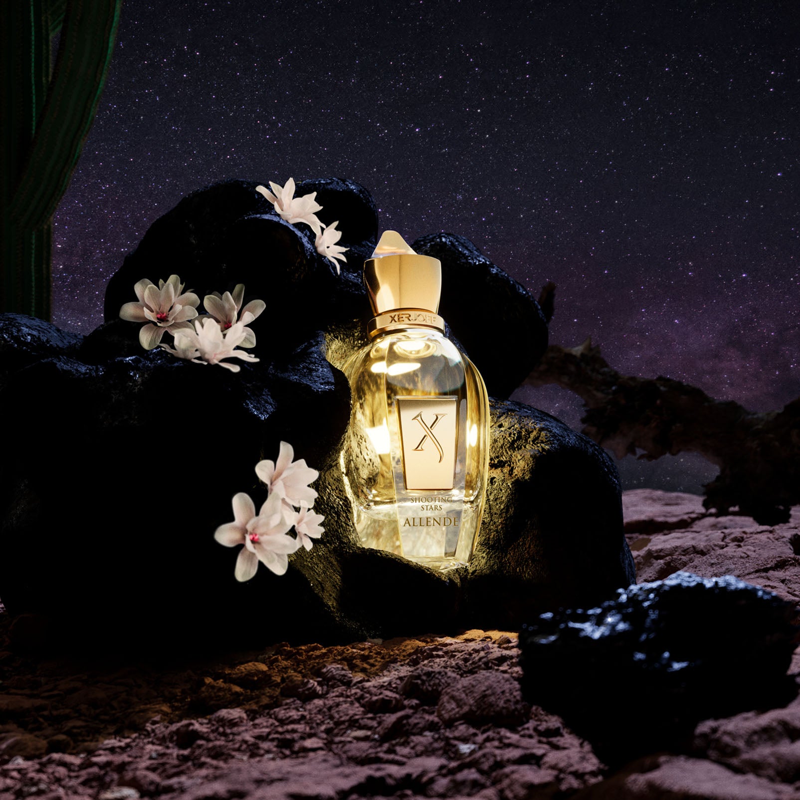 Allende: a delicate gourmand delight | Xerjoff