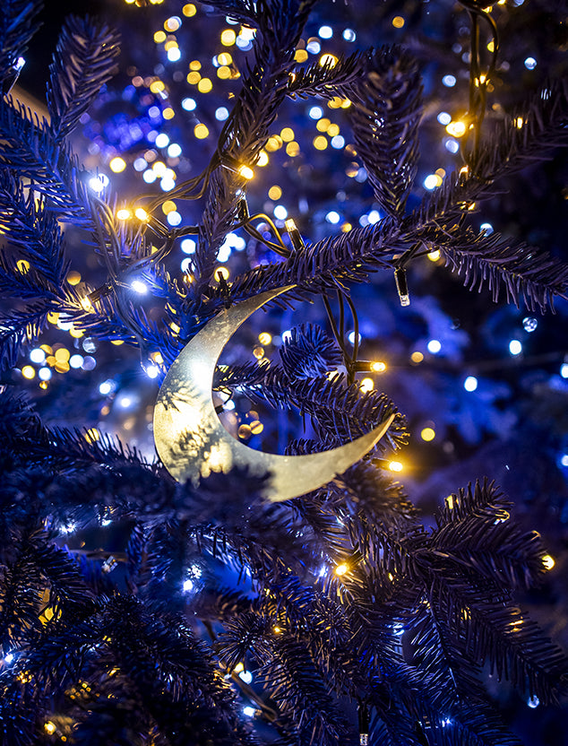 Wish Upon a Shooting Star – Xerjoff