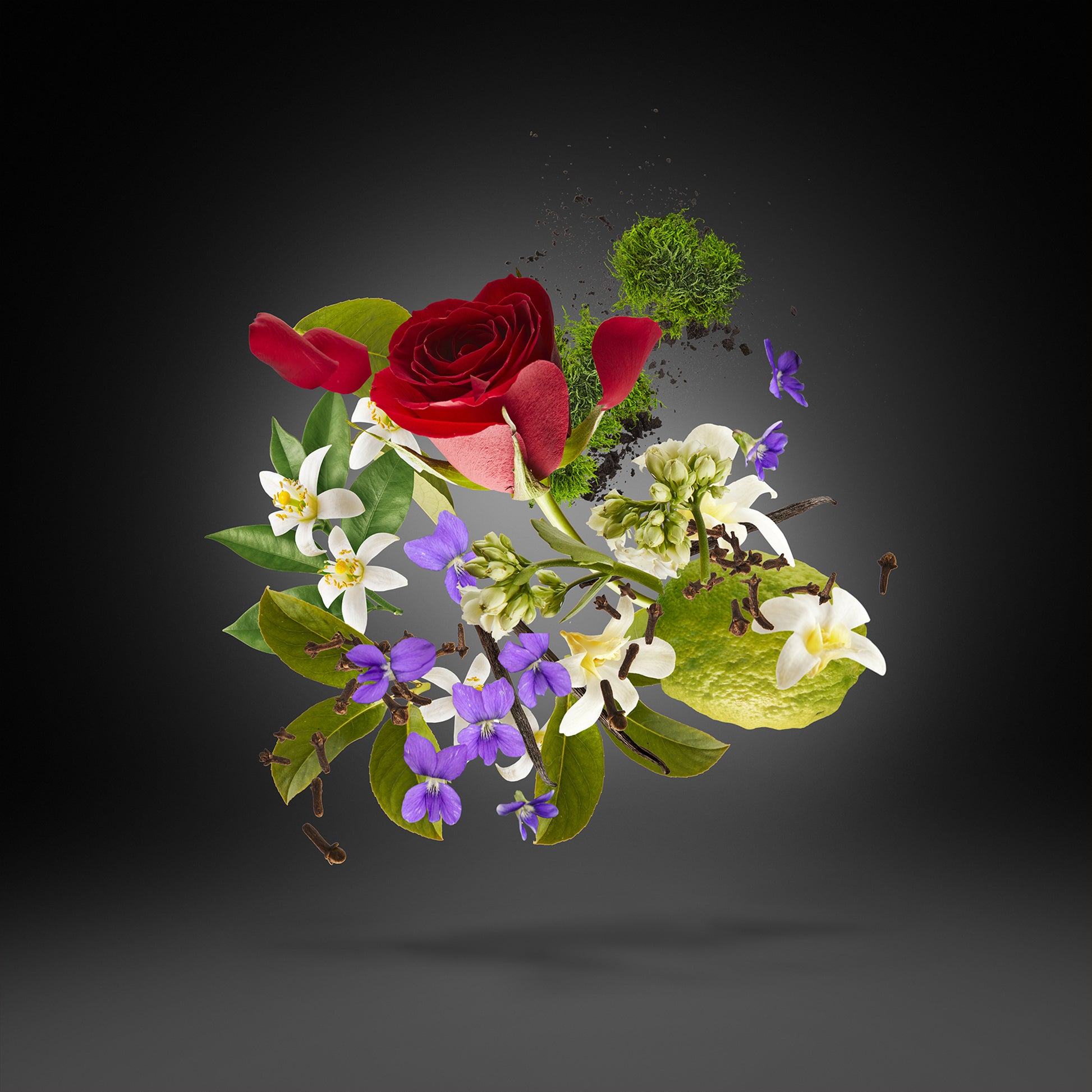 Perfume×POTR p.13 Limited Edition: A tantalising white floral scent – Xerjoff