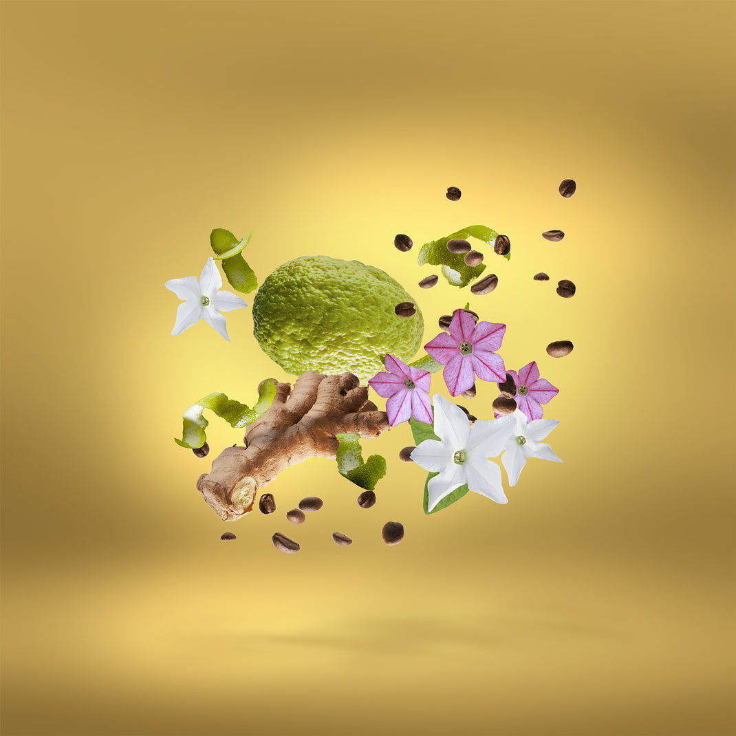 Uden Overdose: a rich scent with strong character | Xerjoff